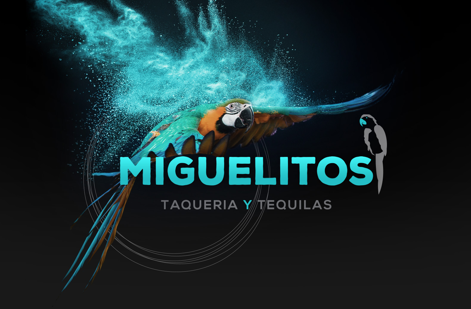 Miguelitos Taqueria Y Tequila Tampa Tequila Bar & Mexican Restaurant