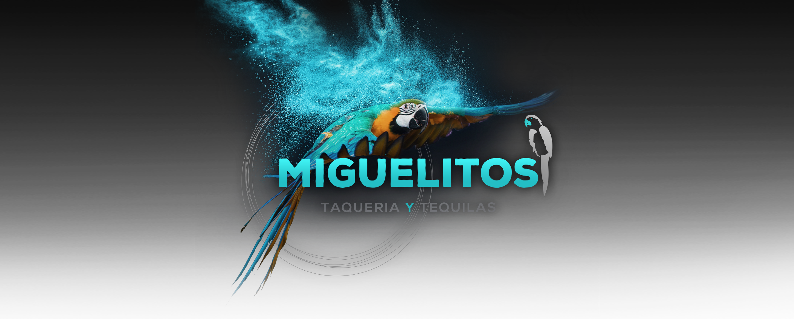 Miguelitos Taqueria Y Tequila Tampa Tequila Bar & Mexican Restaurant